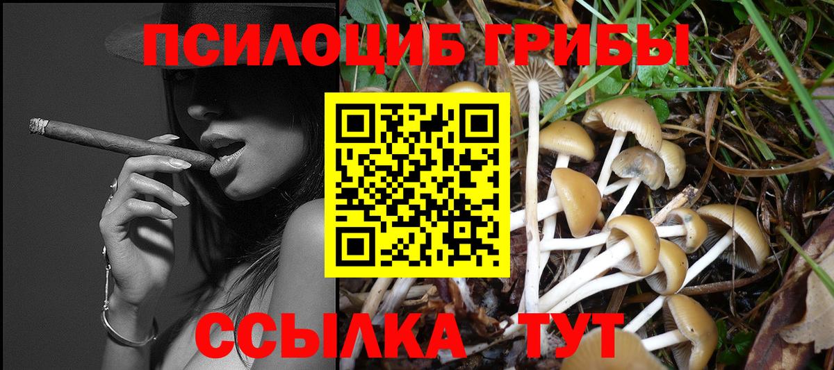 Псилоцибиновые грибы ЛСД  Псилоцибиновые грибы MAGIC MUSHROOMS  Тайшет  Вход с VPN 